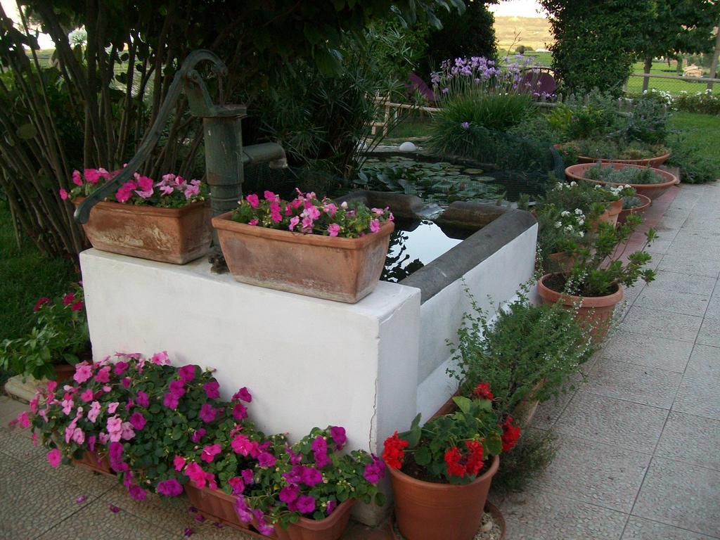 B&B La Casa Bianca Фоссачезія Екстер'єр фото